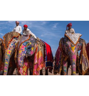 Тур на 11 дней в Индию